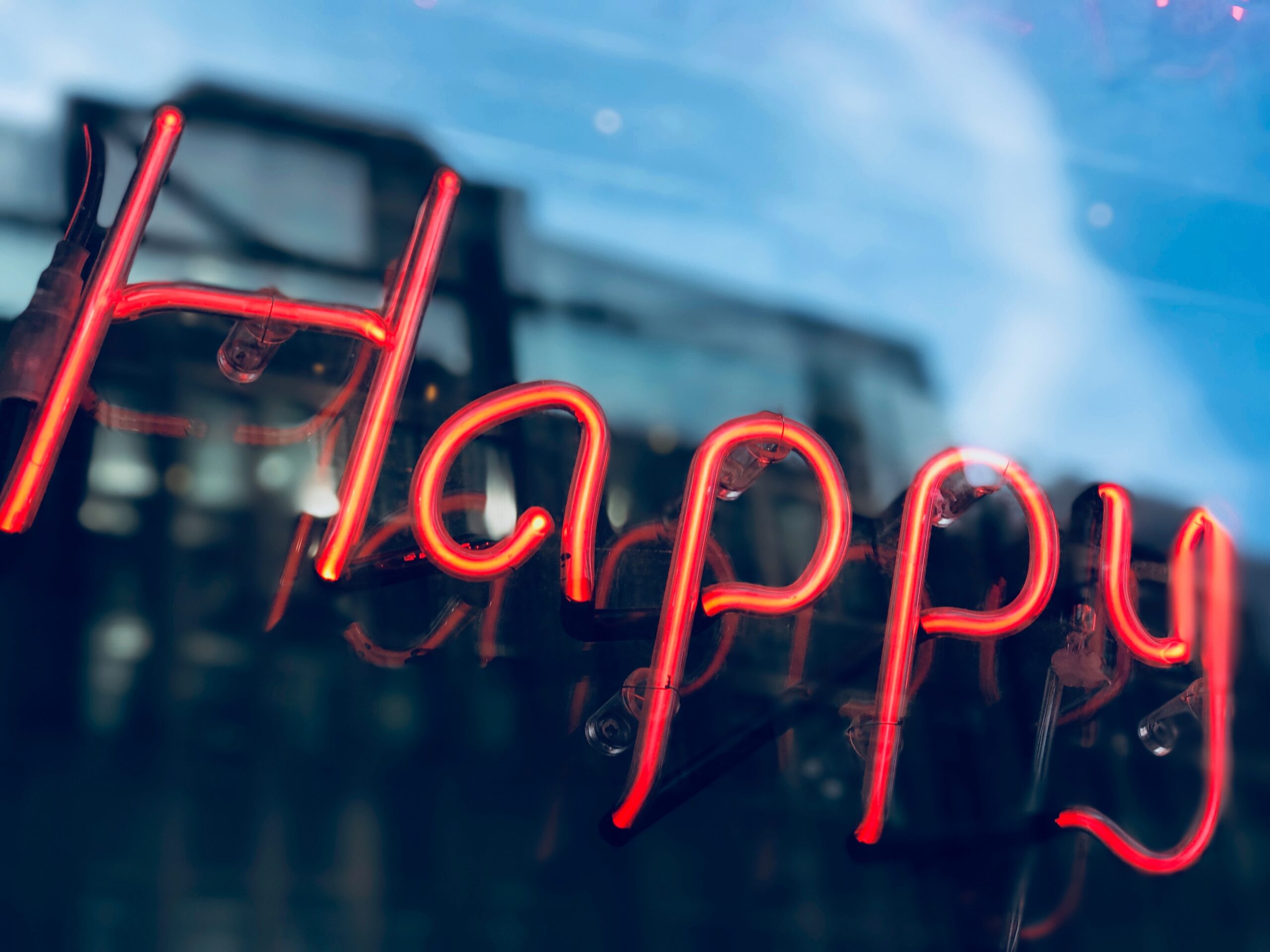 What is Happiness