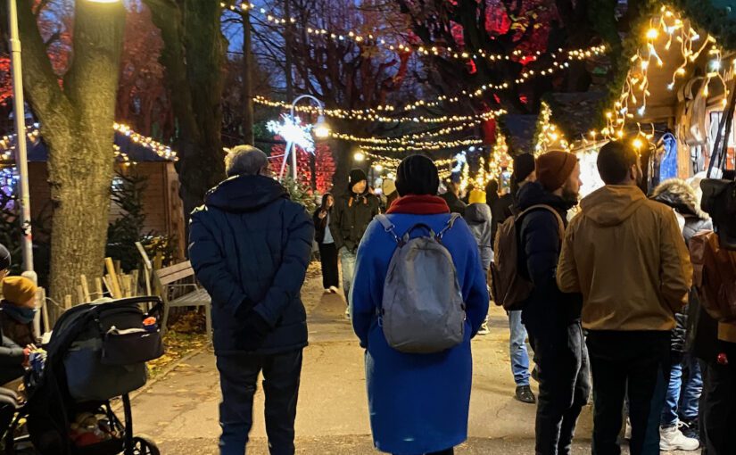 The Magic of Christmas Market in Vienna