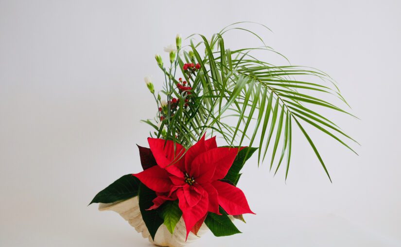 Poinsettia and Palm Leaves with Prayers for Peace