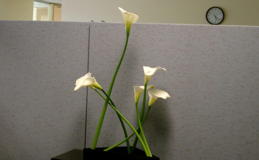 How Practicing Flower Arrangement Brought Success in My Business