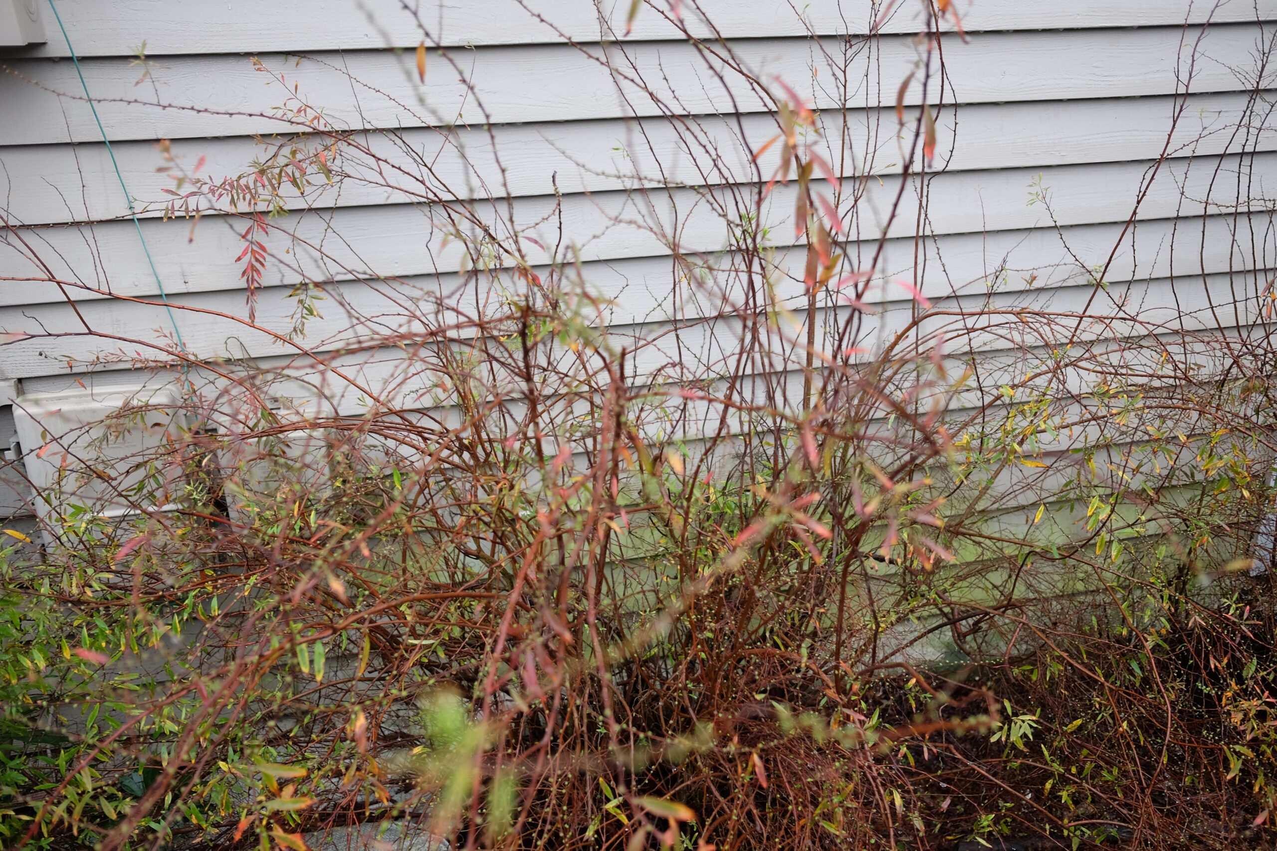 5 Signs I Found that The Spring is Near