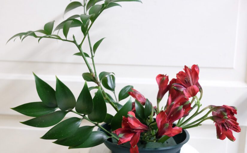 Secrets to Make a Beautiful Flower Arrangement