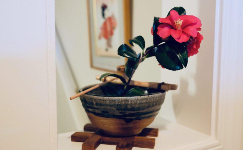 Can You Bring Nature into Your Home