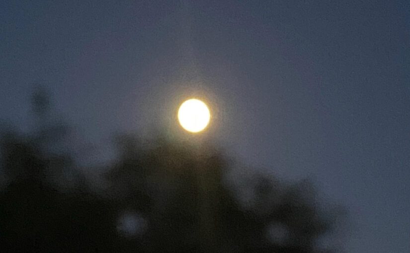 How Many Moon Poems in Hyakunin Issyu