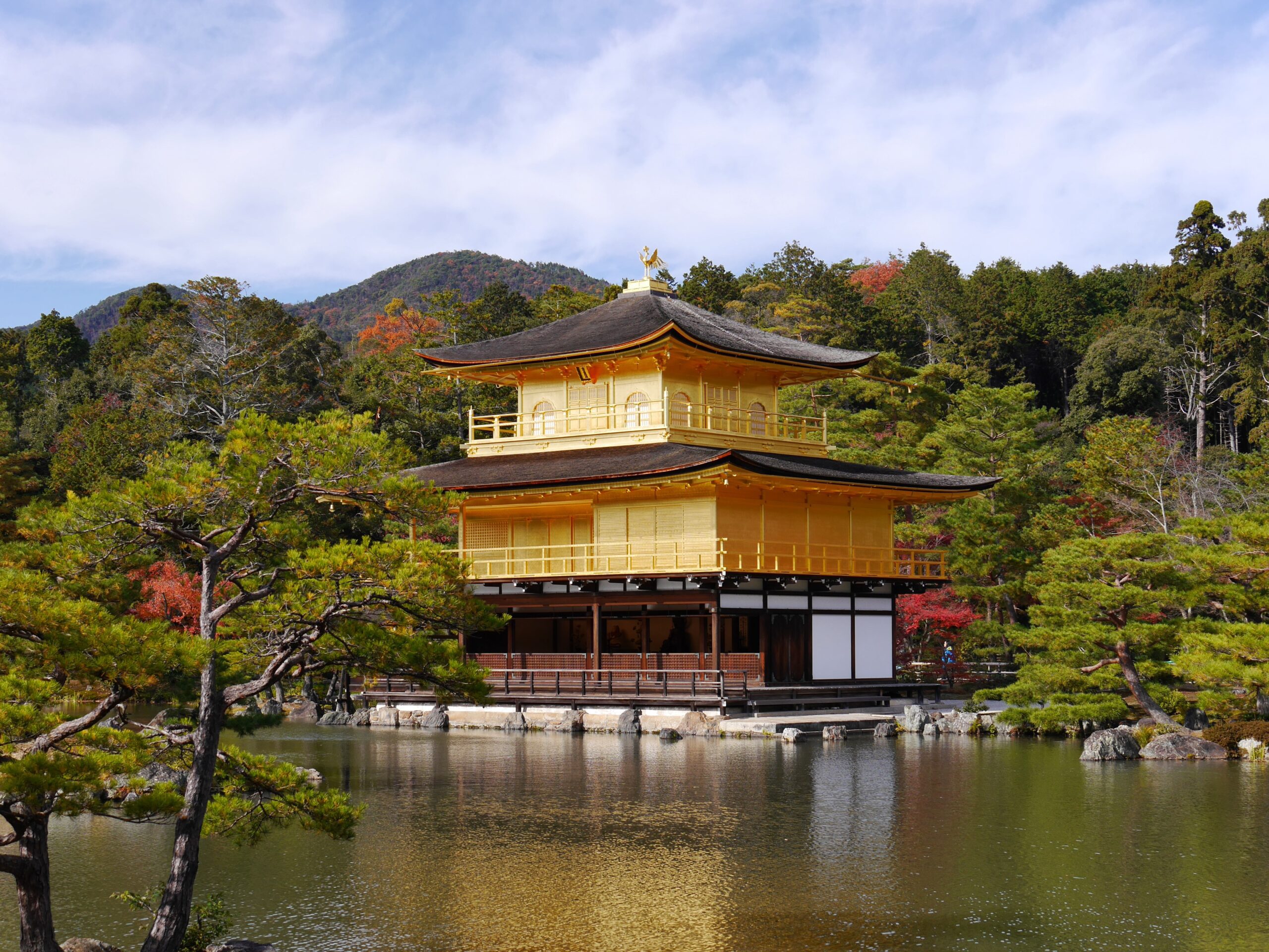 What The Contrast between Golden Pavillion and Silver Pavillion Tells You
