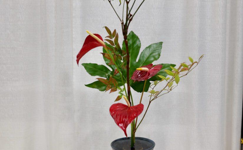 Ikenobo: Flower Arranging that Reflects the Harmony of Nature
