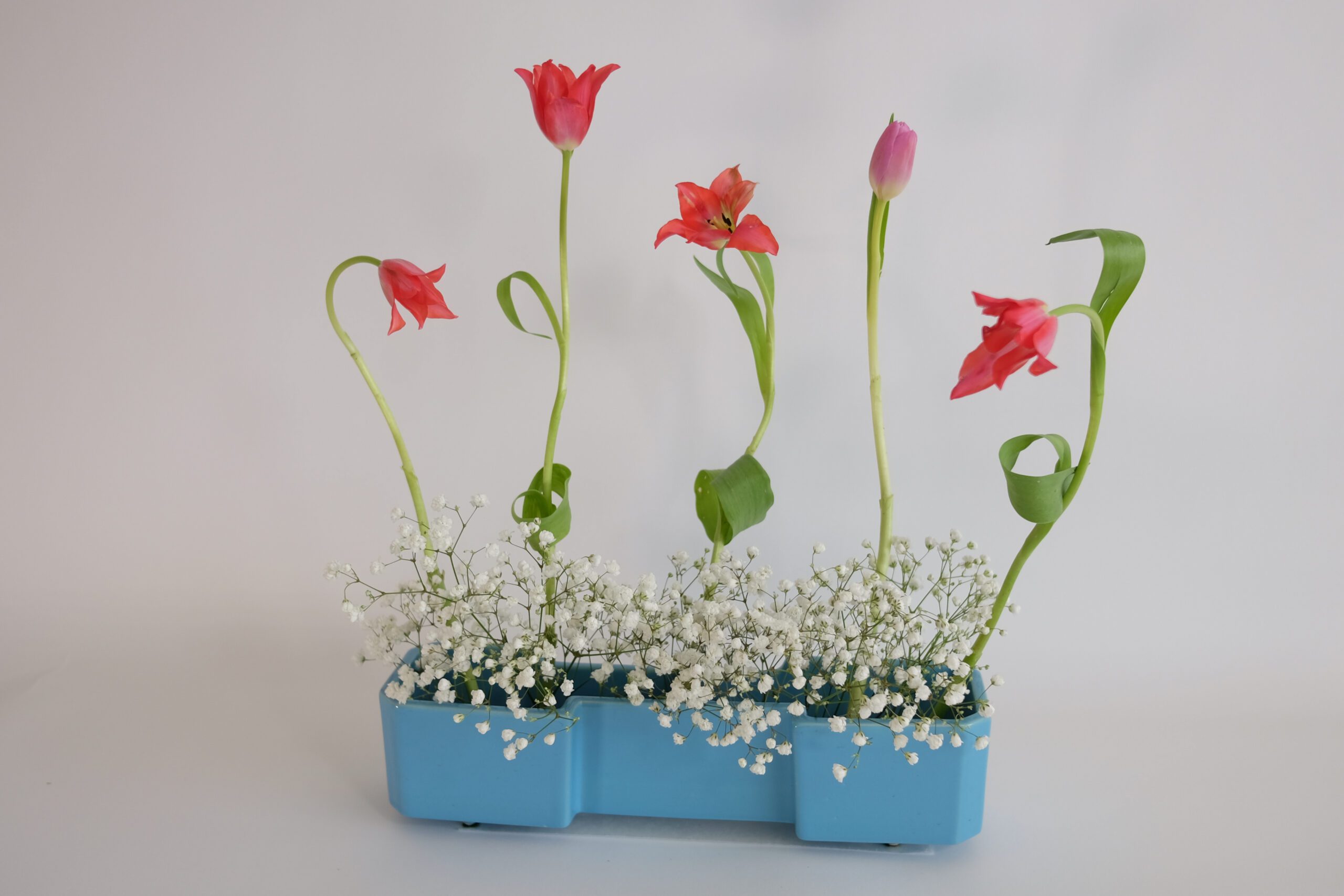 Ikebana Anytime, Anywhere, Anybody