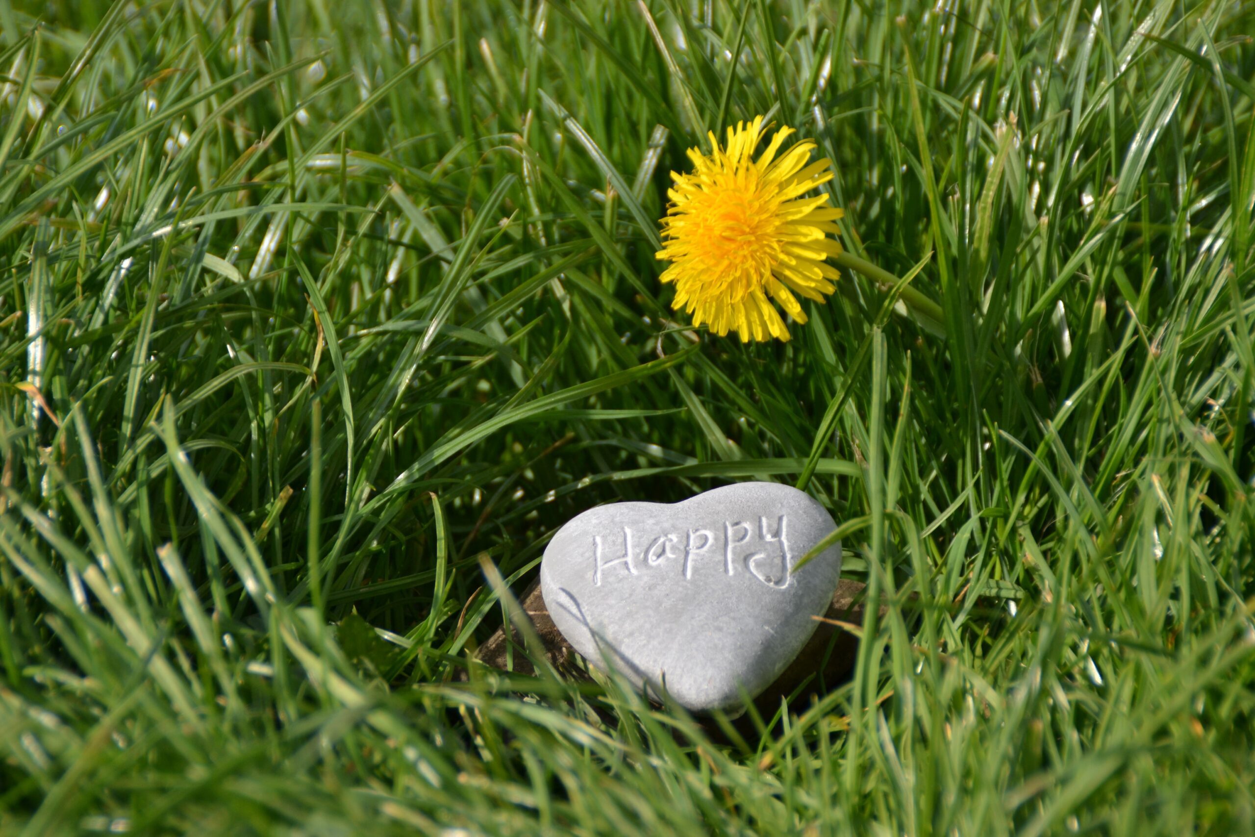 Start A Day with Happiness