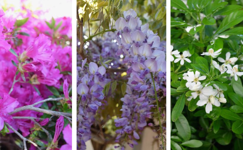 Welcome Spring with Beautiful Flower Arrangements
