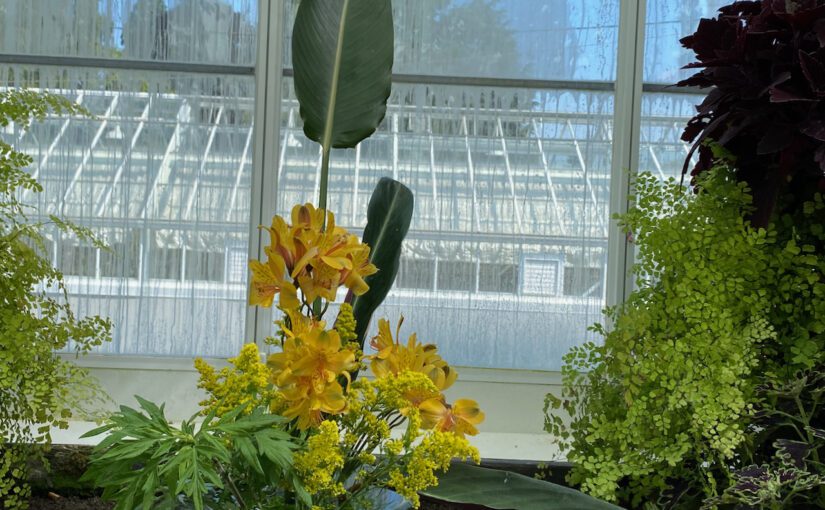 Celebrate Seattle Art Museum’s 90th Birthday with Flowers